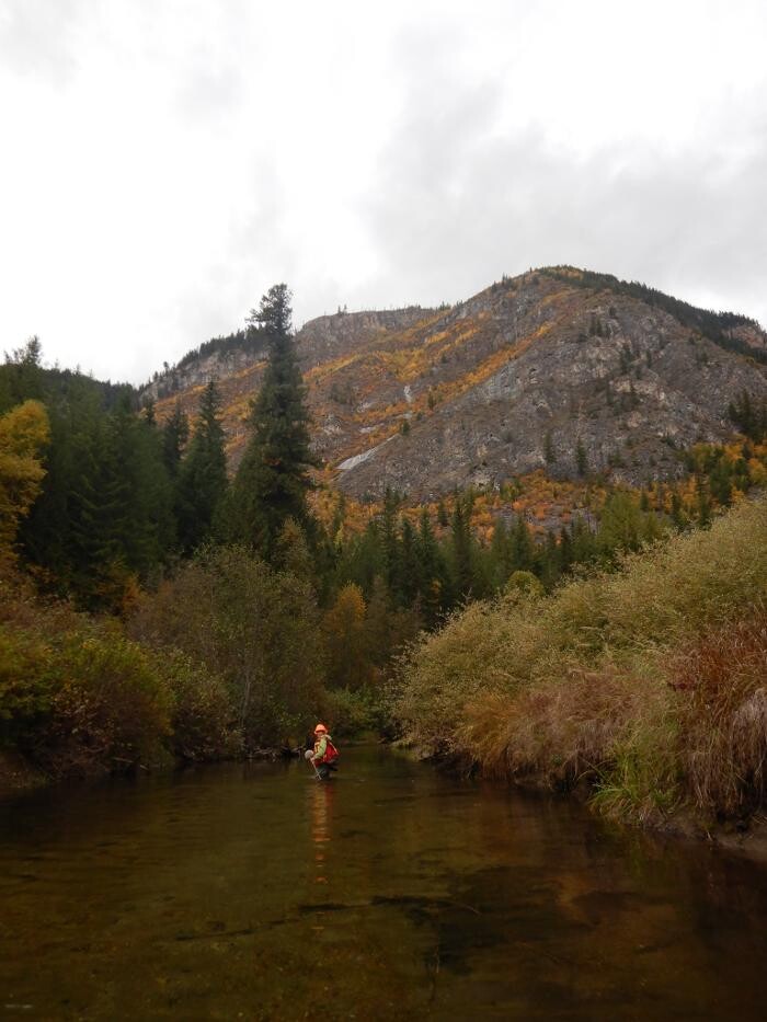 Images Hill Environmental Ltd