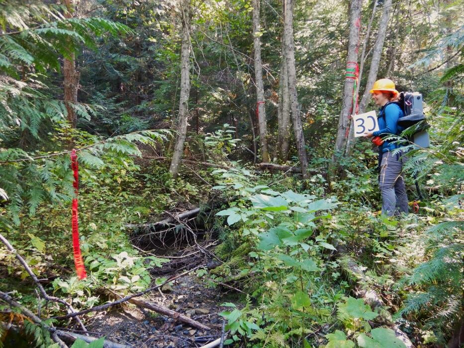 Images Hill Environmental Ltd