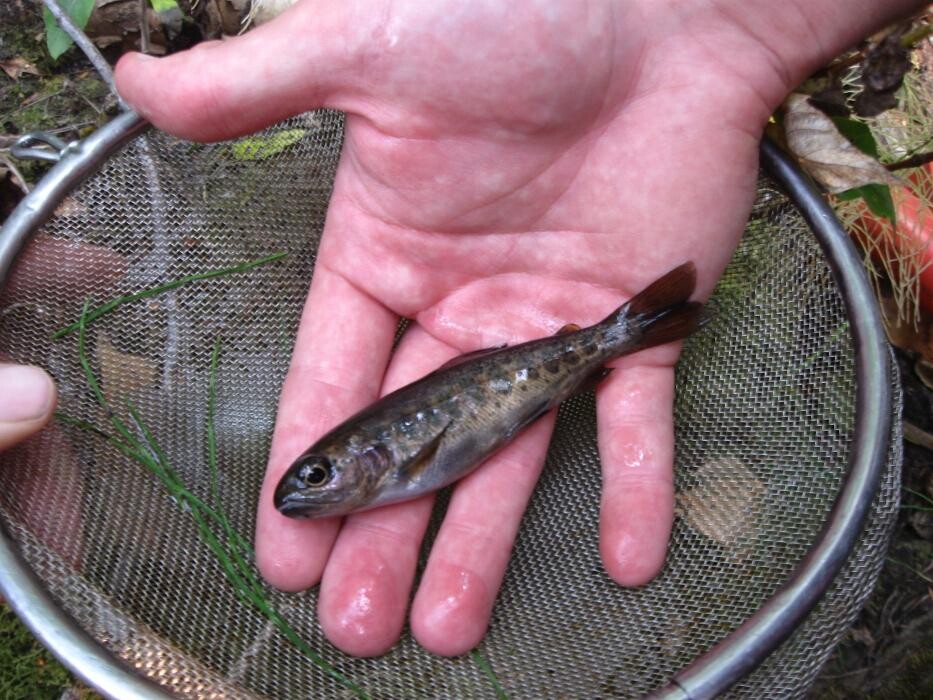 Images Hill Environmental Ltd