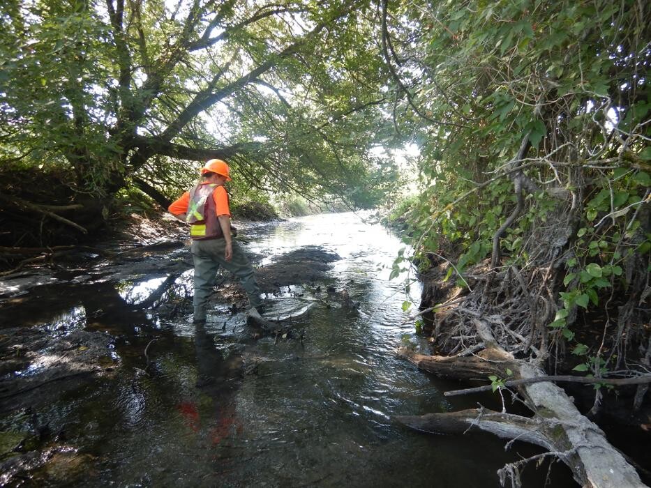 Images Hill Environmental Ltd