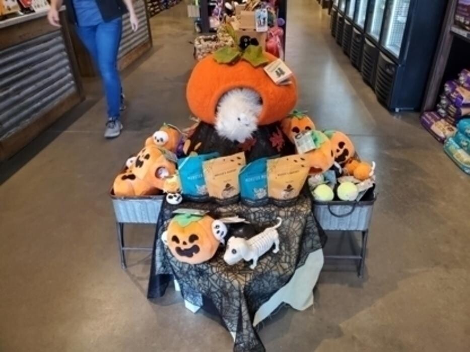 Images Healthy Spot Pet Nutrition & Supply