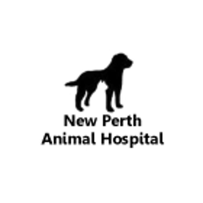 Images New Perth Animal Hospital