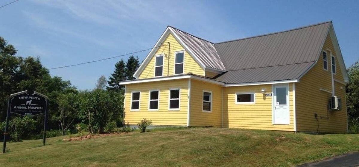 Images New Perth Animal Hospital