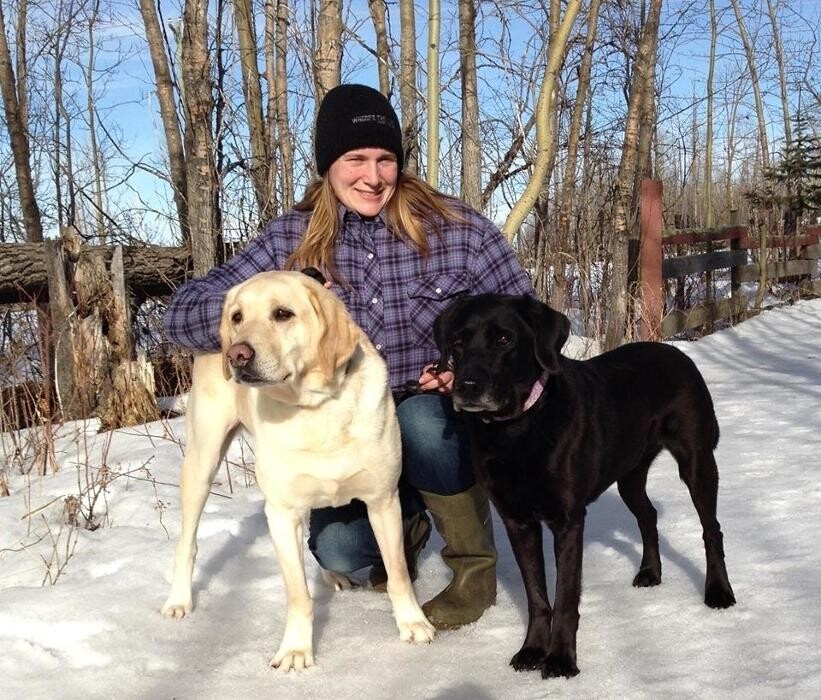 Images Hill Top Kennels