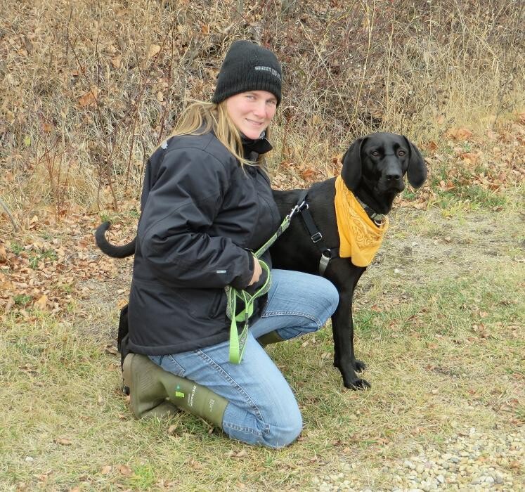 Images Hill Top Kennels