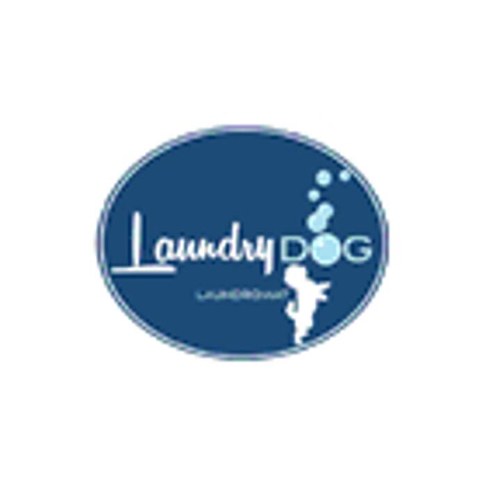 Images Laundry Dog Laundromat