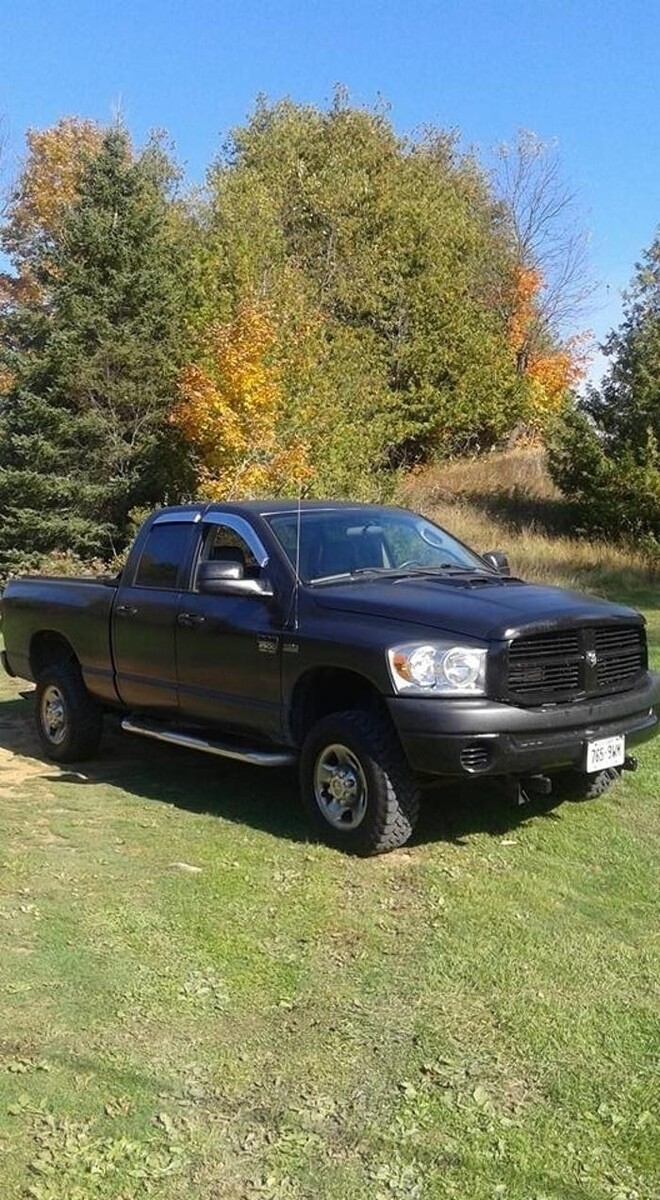 Images Molloy's Property Maintenance