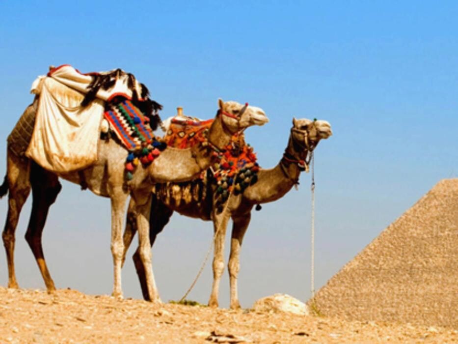 Images Multi Culture Travel