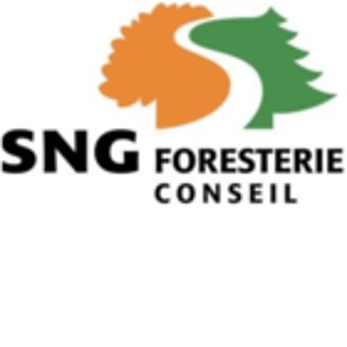 Sng Foresterie Conseil Inc Logo