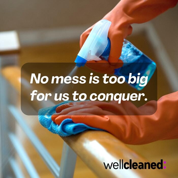 Images WellCleaned.ca