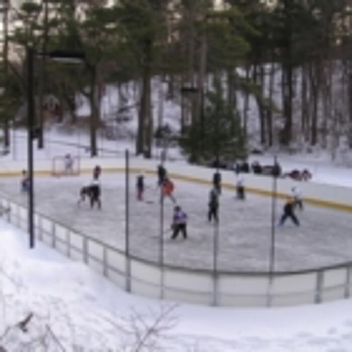 Images Custom Ice Rinks