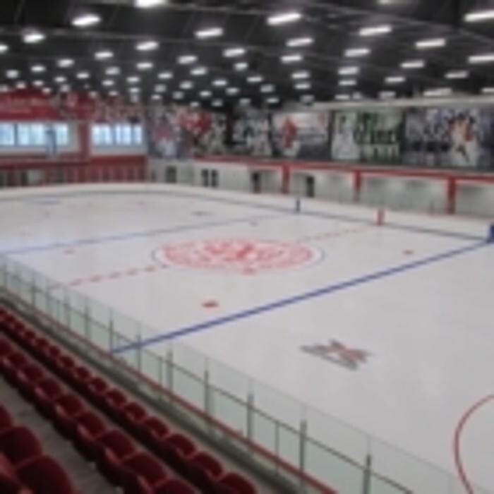 Images Custom Ice Rinks