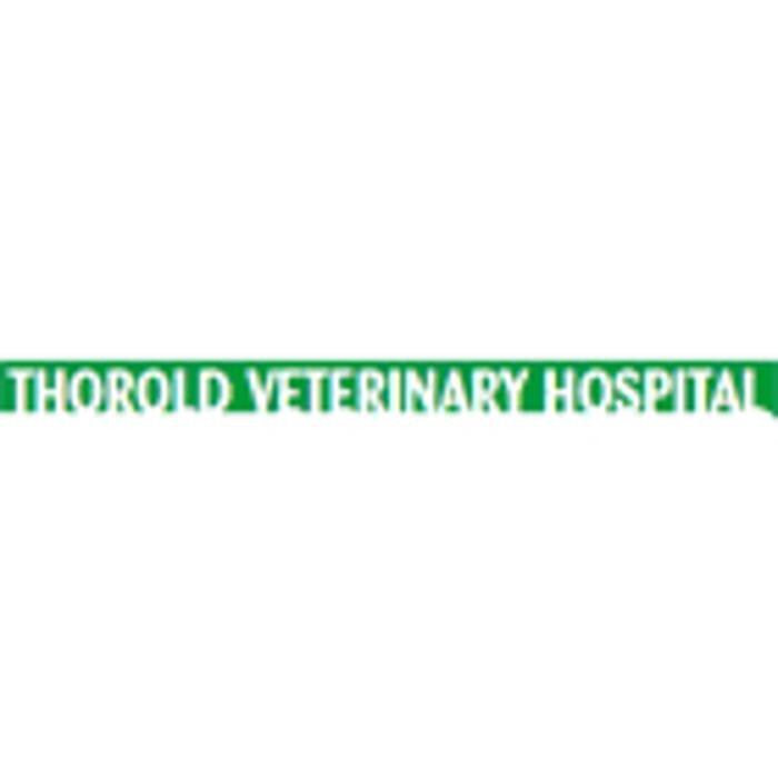 Images Thorold Veterinary Hospital