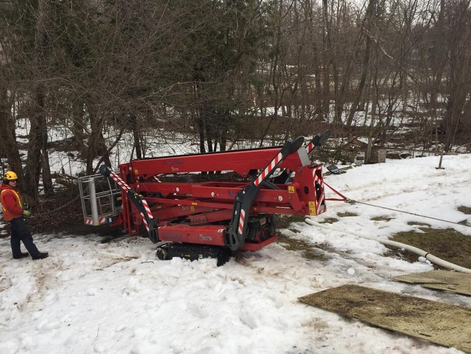 Images St Catharines Tree Service