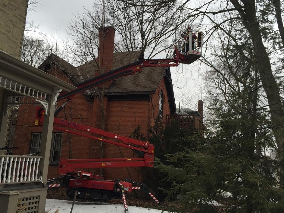 Images St Catharines Tree Service