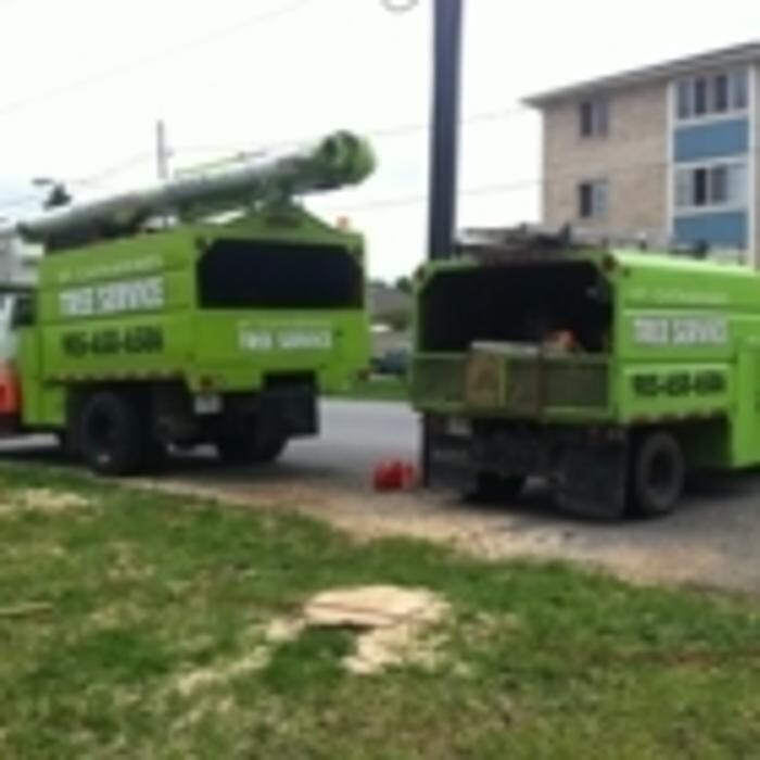 Images St Catharines Tree Service