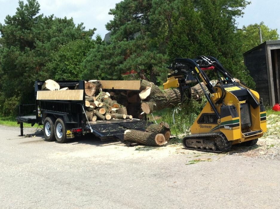 Images St Catharines Tree Service