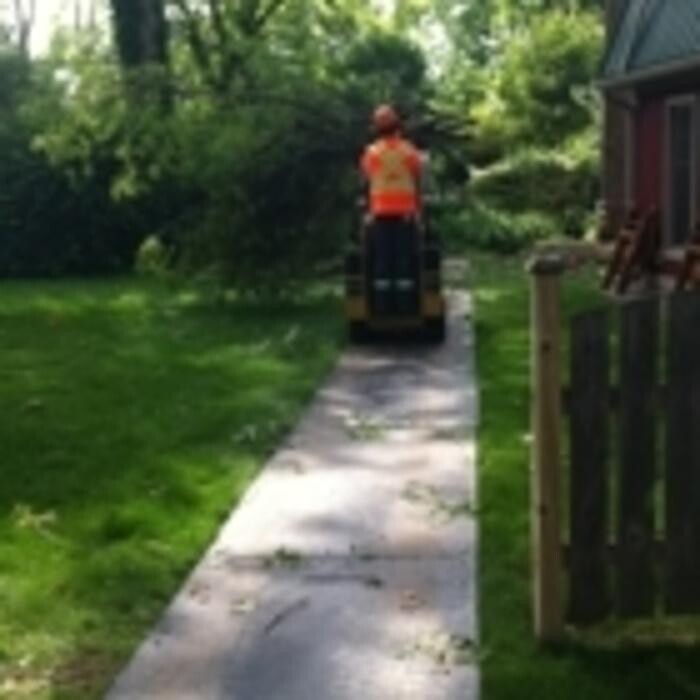 Images St Catharines Tree Service