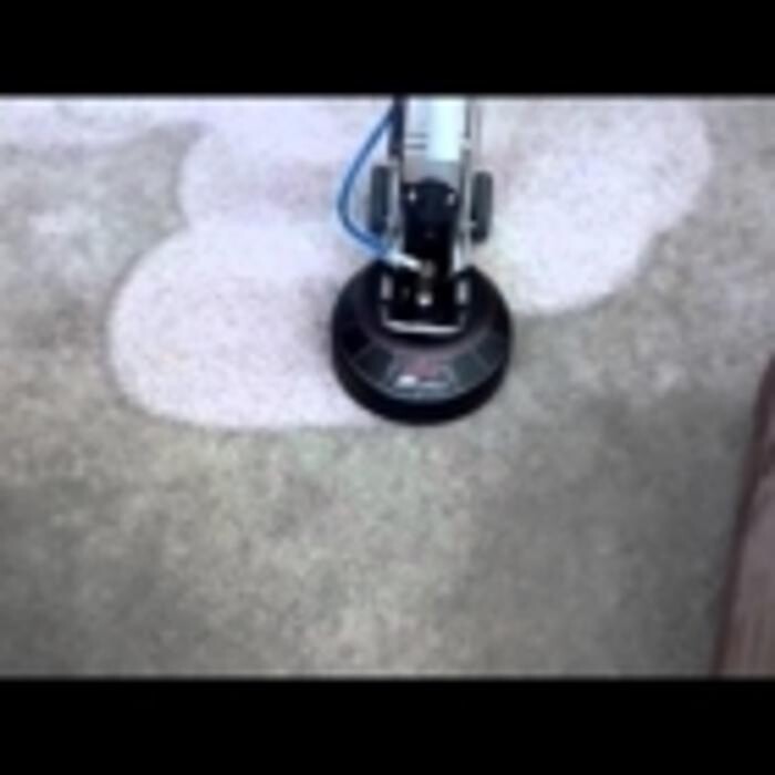 Images Budjet Carpet Care