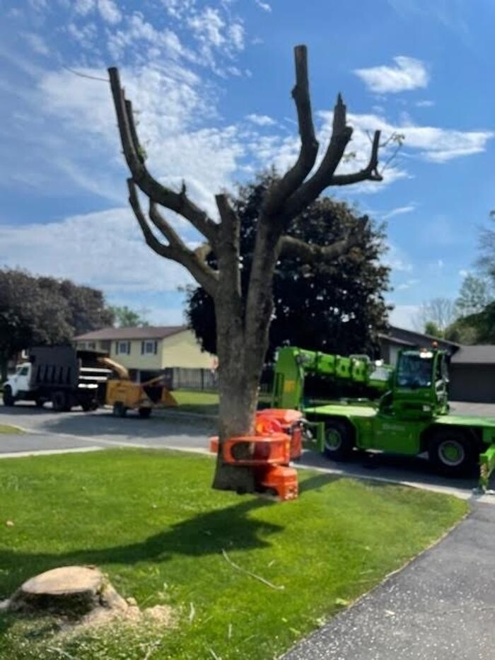 Images C & D Excavating and Tree Service