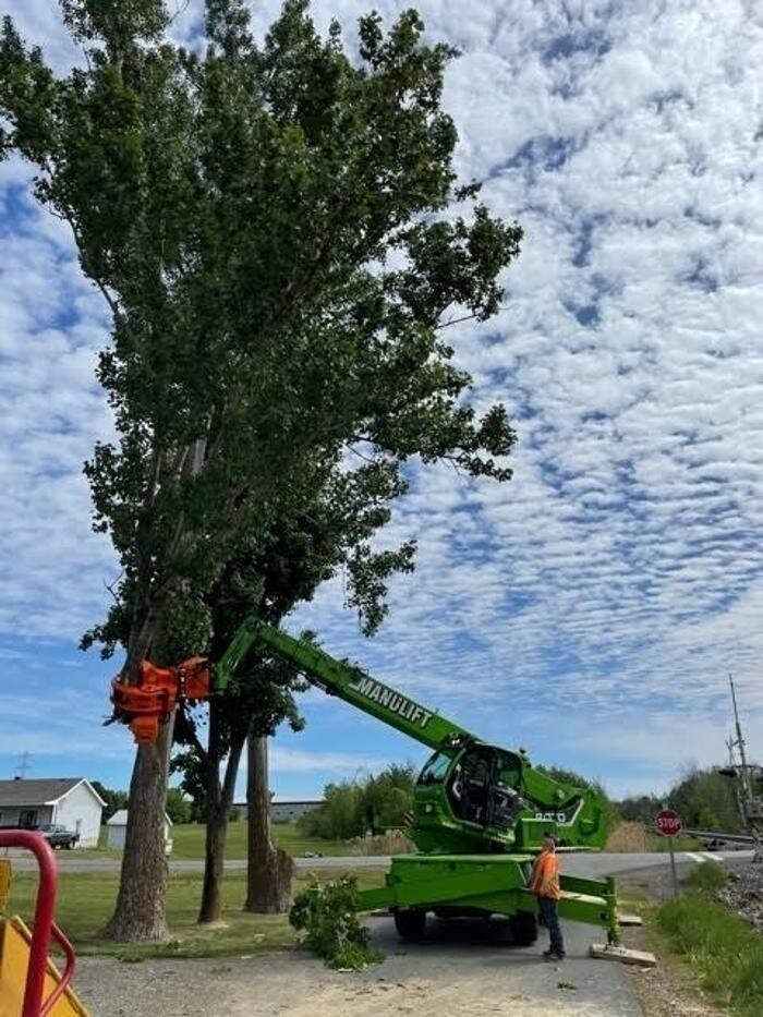 Images C & D Excavating and Tree Service