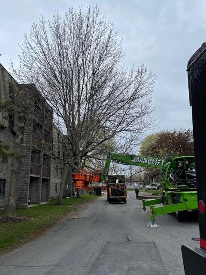 Images C & D Excavating and Tree Service