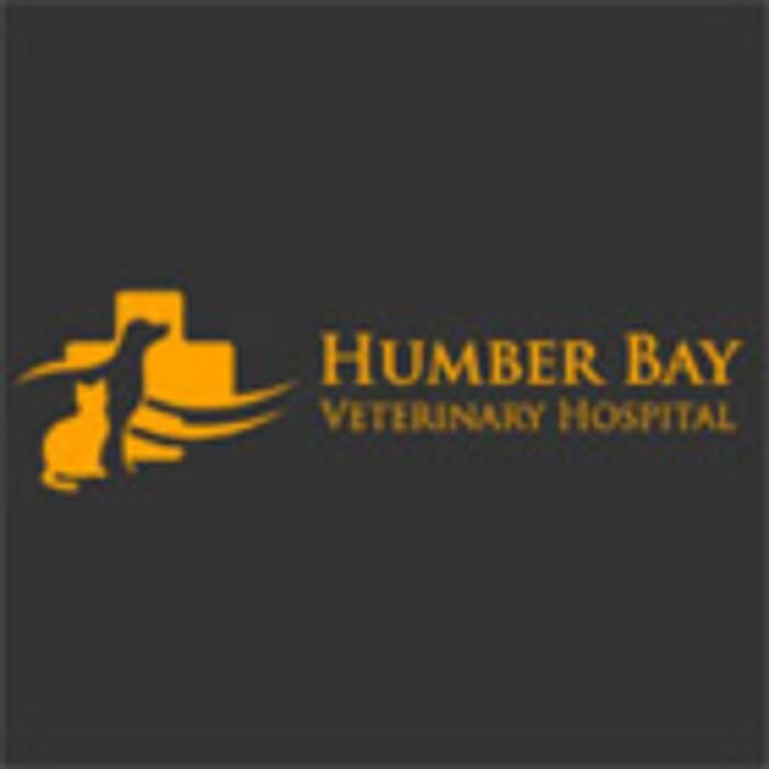Images Humber Bay Veterinary Hospital