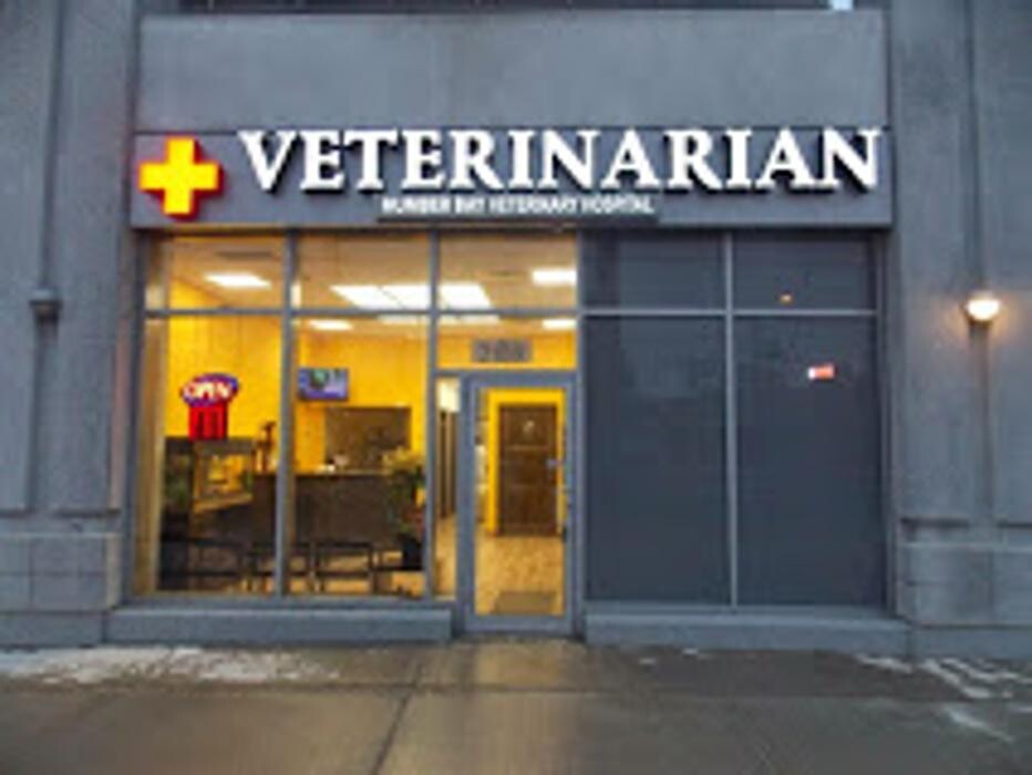 Images Humber Bay Veterinary Hospital