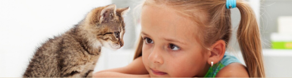 Images Humber Bay Veterinary Hospital