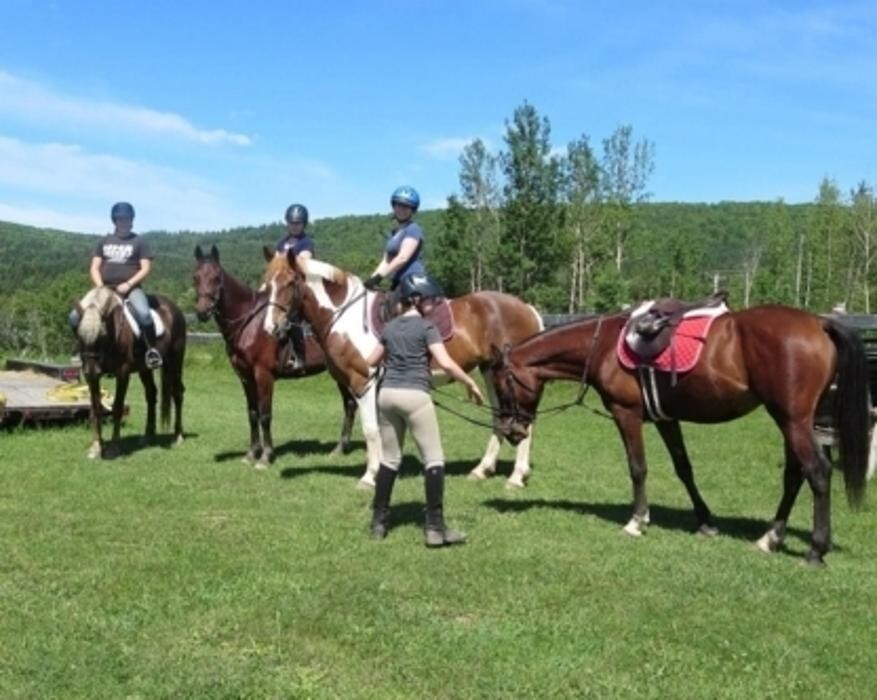 Images Kennedy Stables