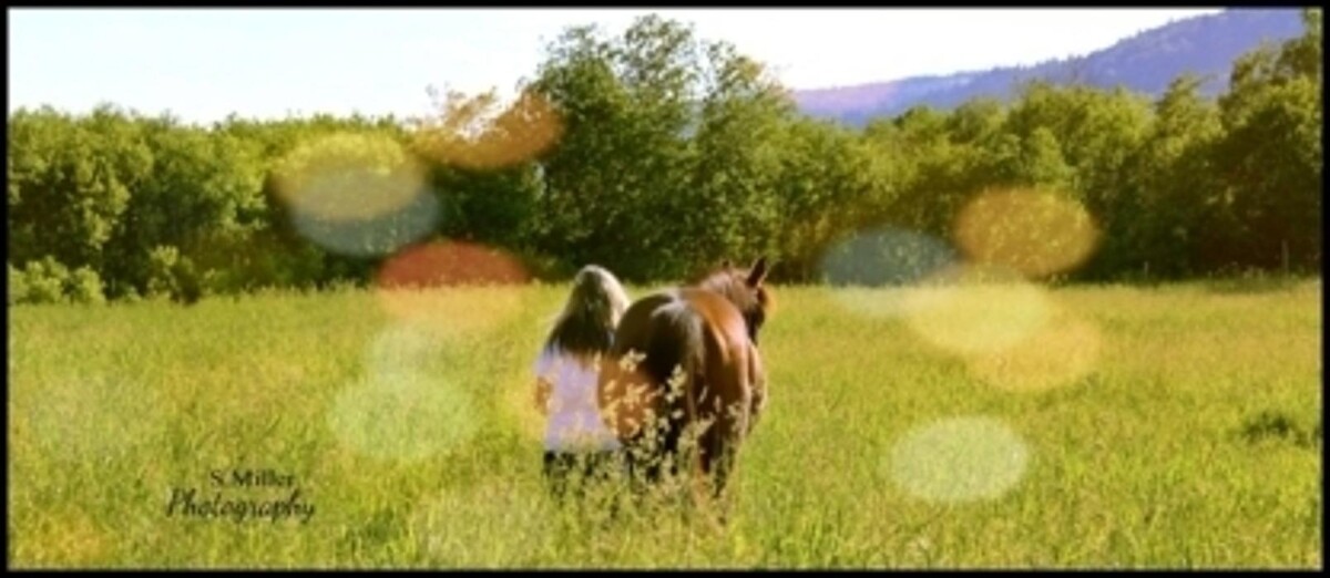 Images Kennedy Stables