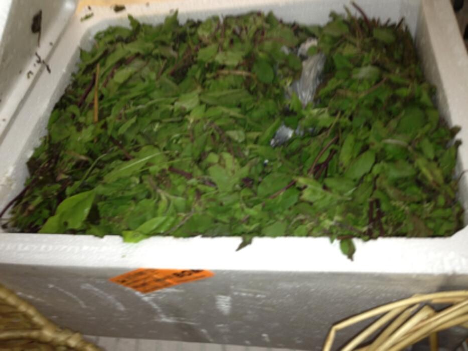 Images A1 Quality Florists & Pooja Items