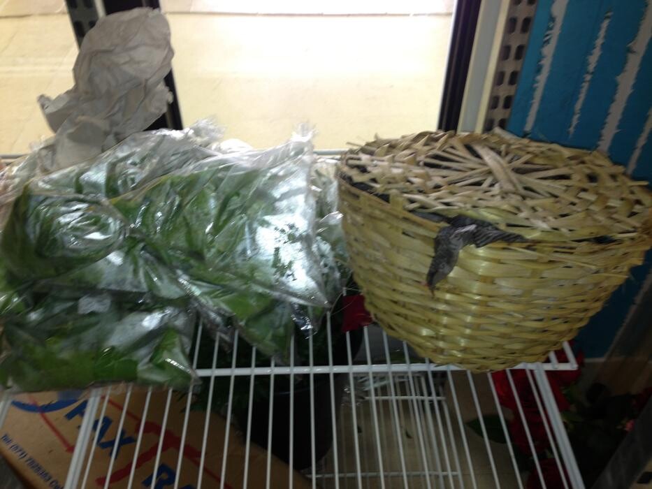 Images A1 Quality Florists & Pooja Items