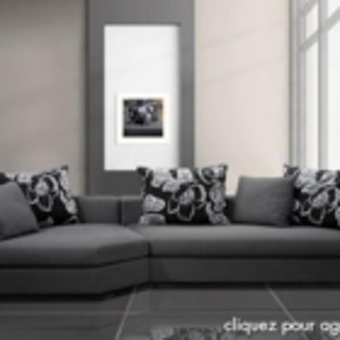 Images Italdivani Meubles Inc