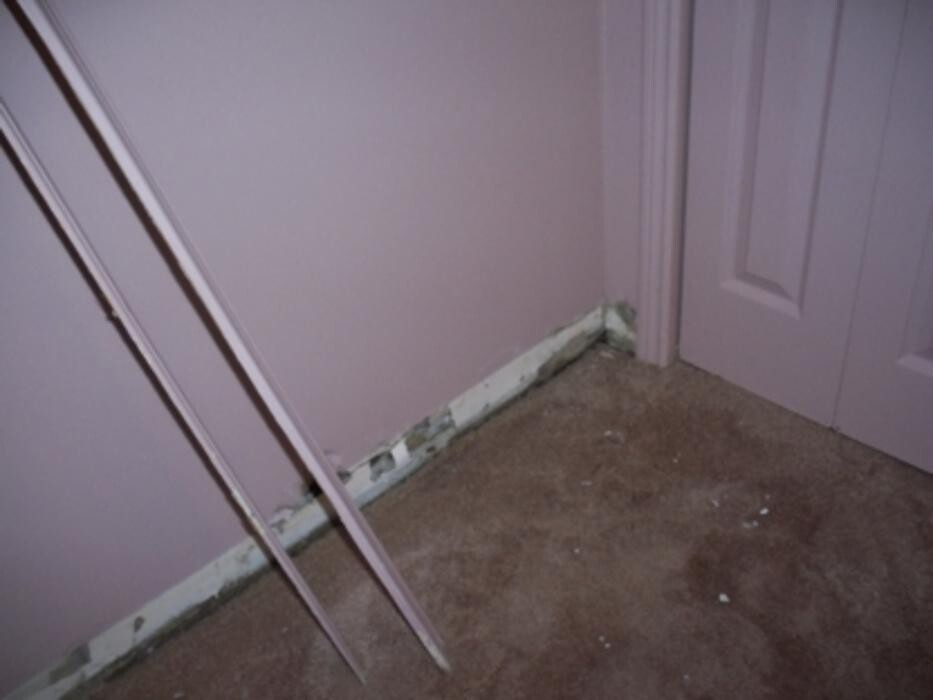 Images Fabric Master Cleaning Systems