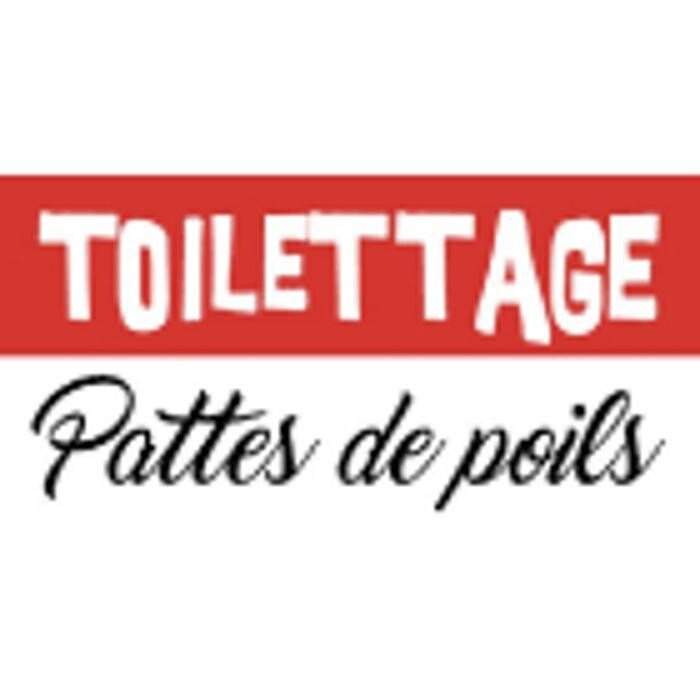 Images Toilettage Pattes de Poils