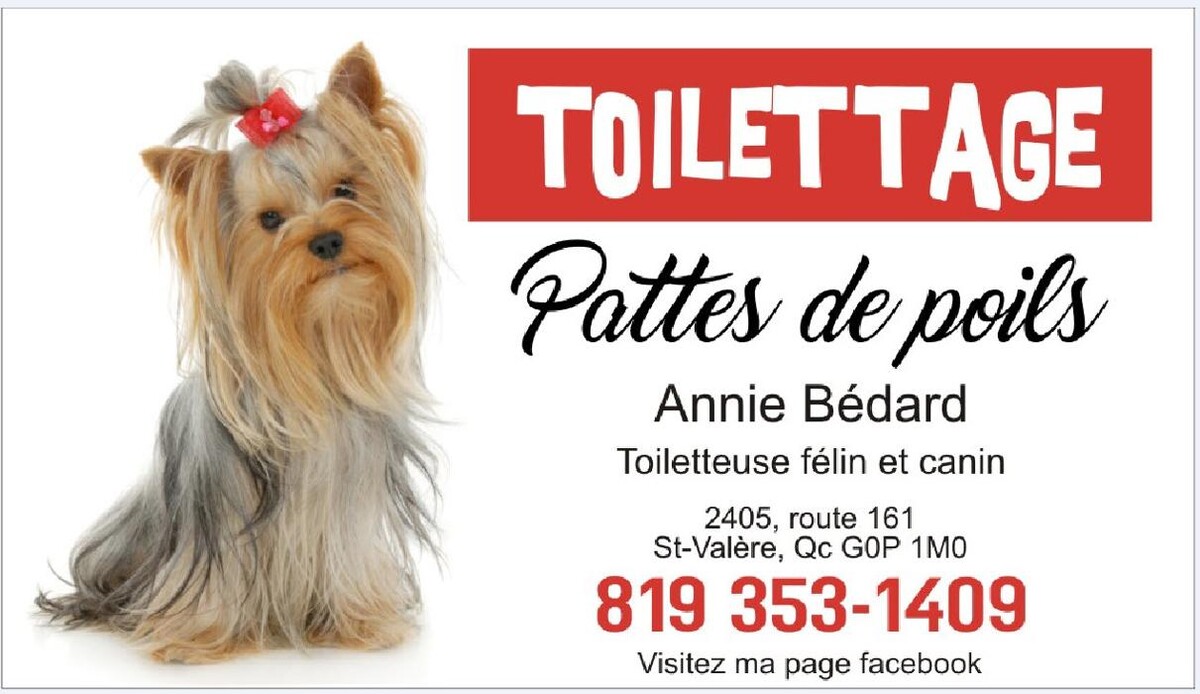 Images Toilettage Pattes de Poils