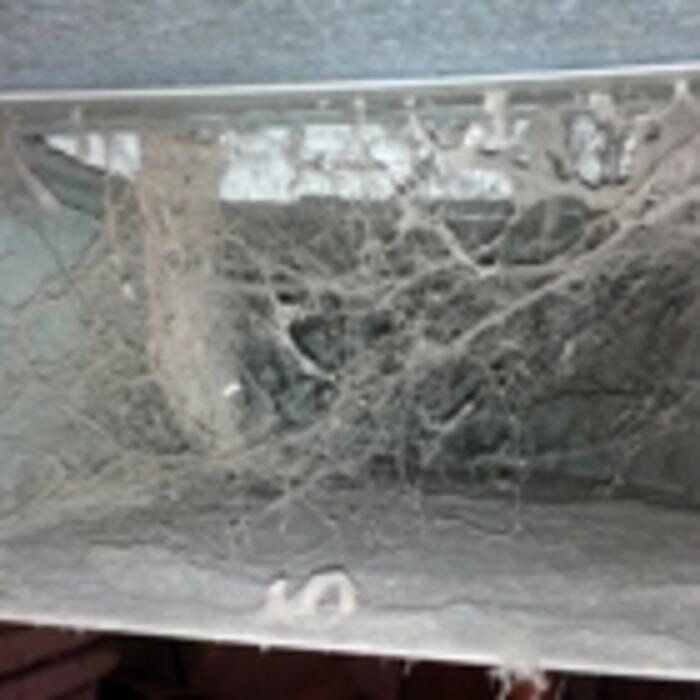 Images Greenfields Indoor Air Solutions