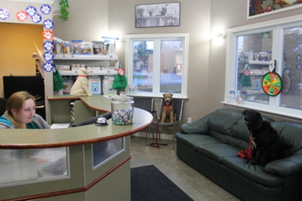 Images Shannondale Pet Hospital