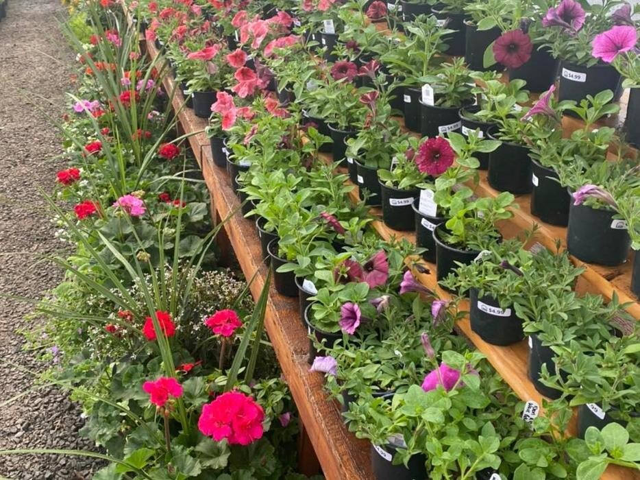 Images Leis Landscaping Yard & Country Store