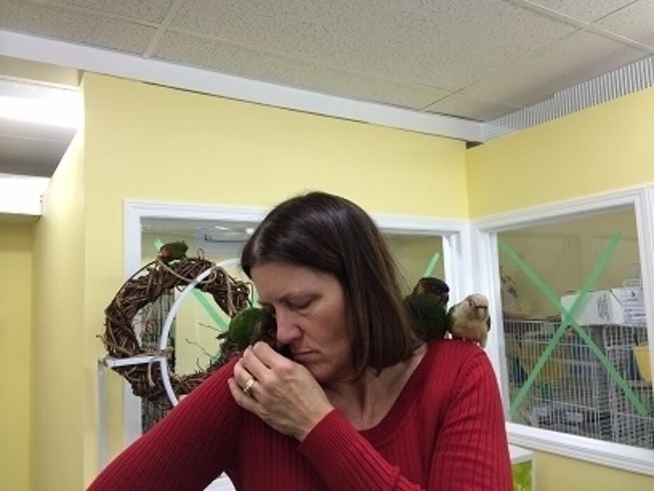 Images Ziggy's Feathered Friends