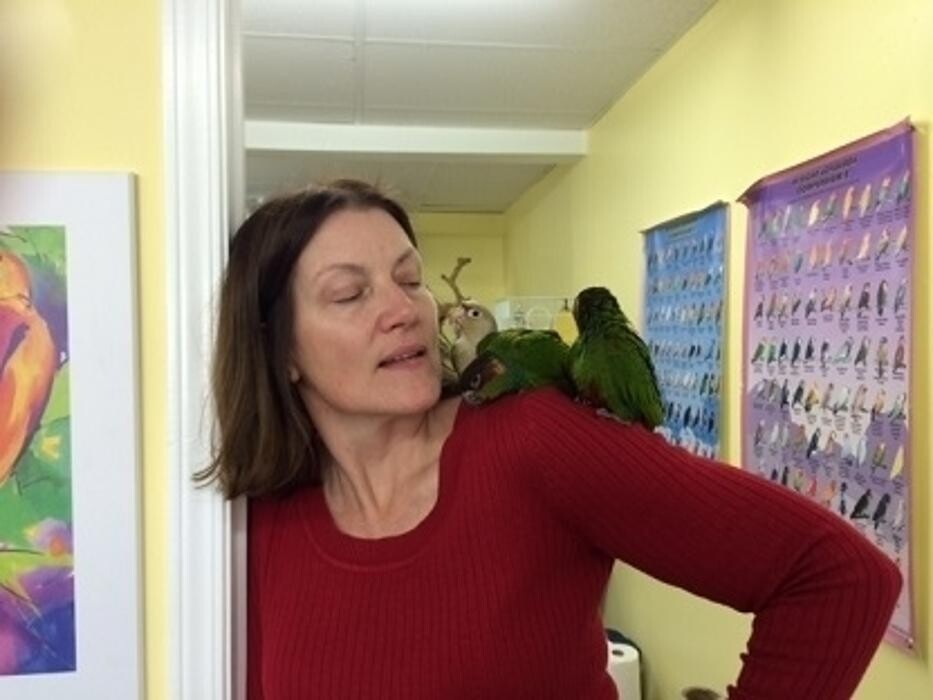 Images Ziggy's Feathered Friends