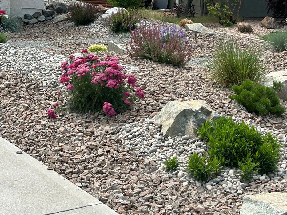 Images Rocks 'N' Blocks Landscape & Irrigation