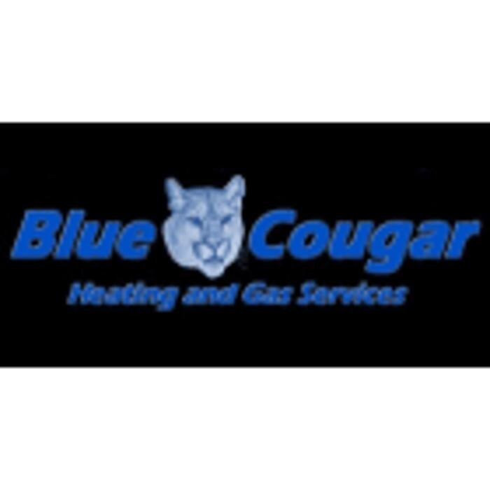 Images Blue Cougar Heating and Gas - TSBC No. LGA0202297