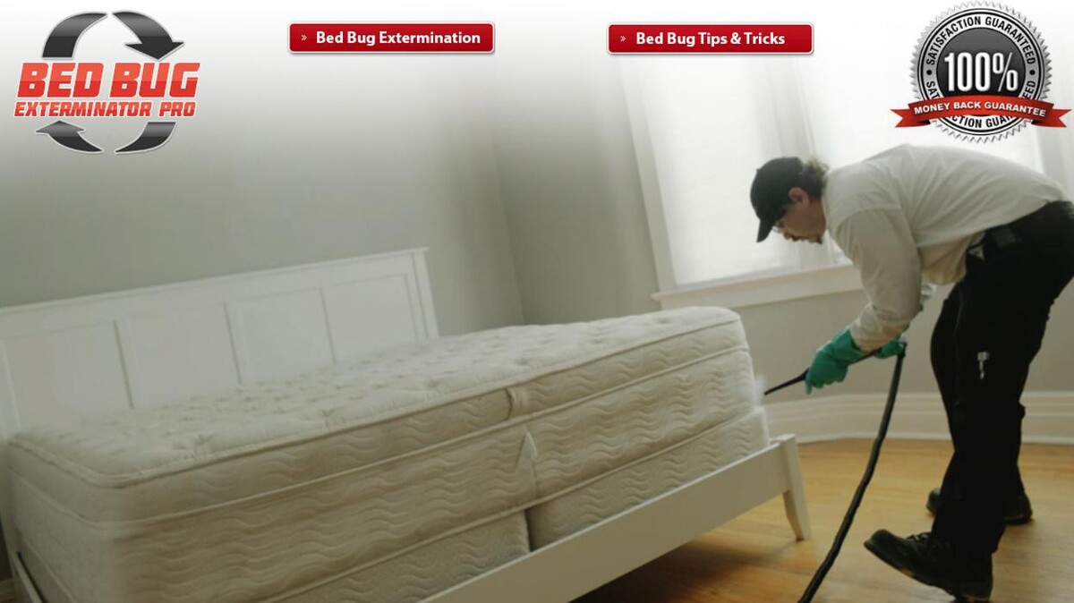 Images Bed Bug Exterminator Pro