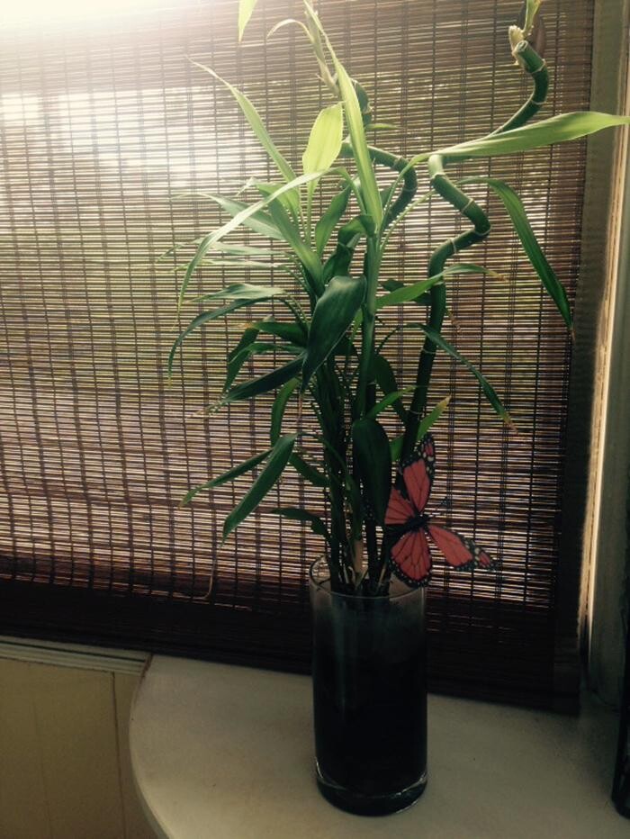 Images Dryden Massage Therapy Clinic