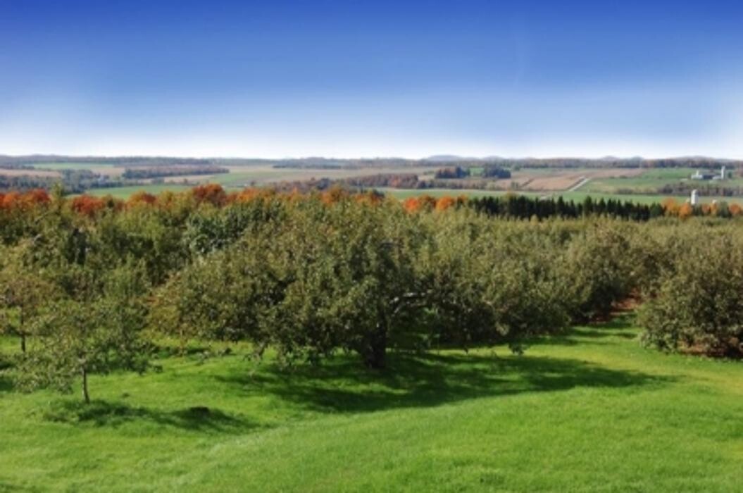 Images Germain Lafond & Associés