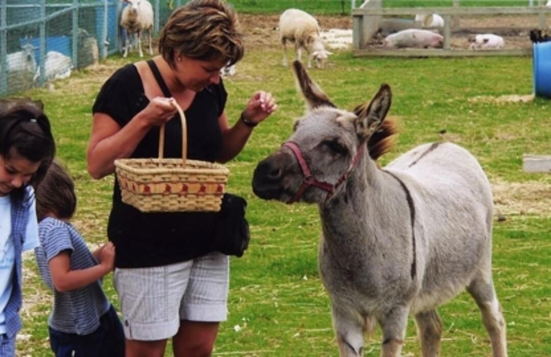 Images Germain Lafond & Associés