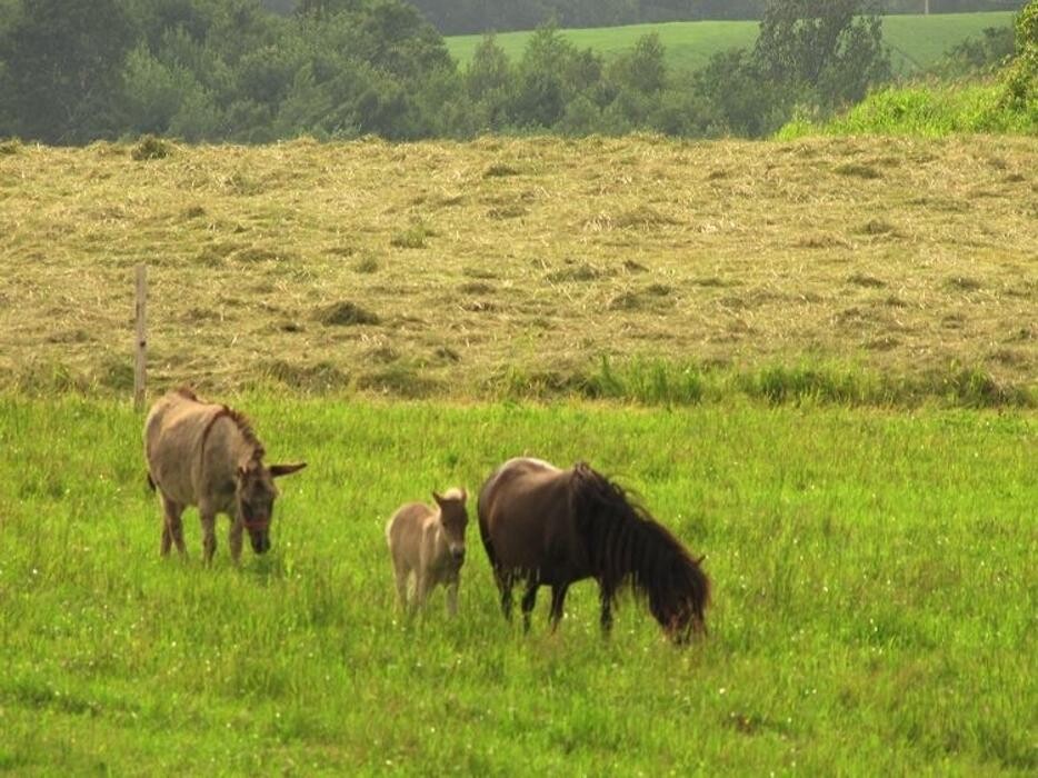Images Germain Lafond & Associés