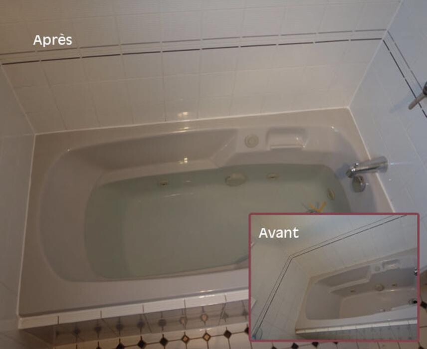 Images Réémaillage Pro-Shine